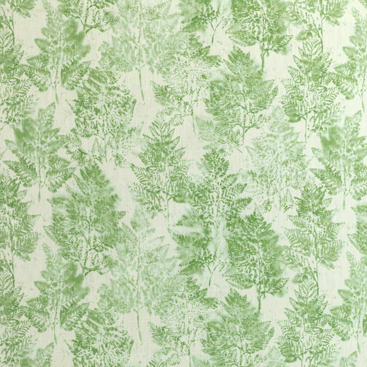 Kravet Basics Heiki Fern.3.0 Heiki Fern Multipurpose Fabric in Emerald/White/Green